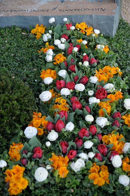 Primeln gehören in Kombination mit Tulpen und Ranunkeln zu den beliebten Frühjahrsboten auf dem Friedhof. Foto: GdF, Bonn