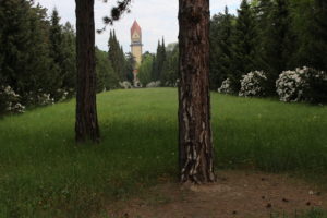 Bäume im Vordergrund - Krematorium im Hintergrund