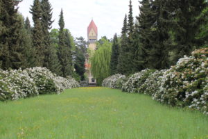 Weißer Rhododendron vor dem Krematorium