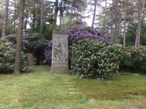 Gräbstätte neben weißem und lilanen Rhododendron