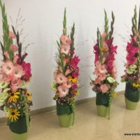 Floristische Arbeiten anlässlich der 25 Jahr-Feier des BSZ-Wurzen