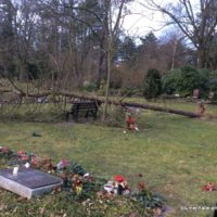 Grabpflege - Das Säubern der Gräber nach dem Sturm