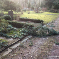 Grabpflege - Das Säubern der Gräber nach dem Sturm