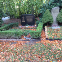 Grabstelle nach einem Sturm - Blumenhalle am Südfriedhof