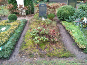 Grabgestaltung auf dem Südfriedhof Leipzig mit Thymian