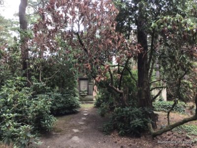 Initiative zur Bewässerung – Südfriedhof Leipzig – Projekt: „Wir helfen Alfred“